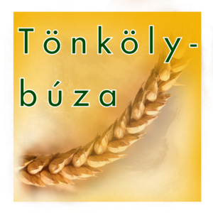 vetomagajanlatok_tonkolybuza
