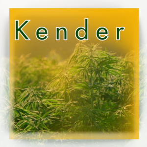 Kender