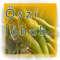 Őszi Lóbab